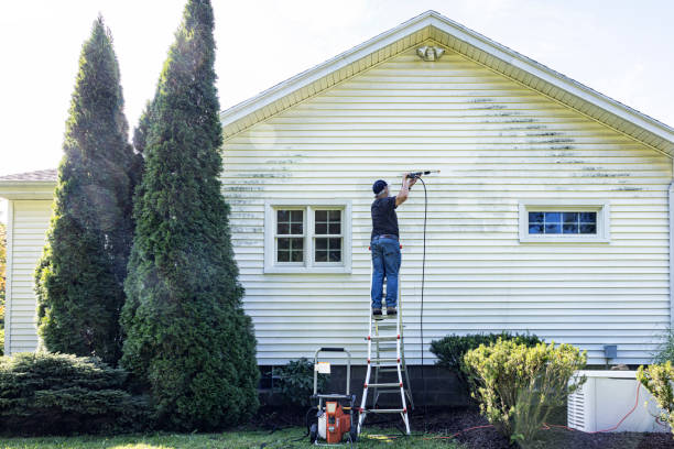 Best Gutter Cleaning  in Murfreesboro, NC